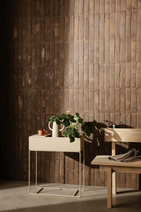 Plant Box, Cashmere