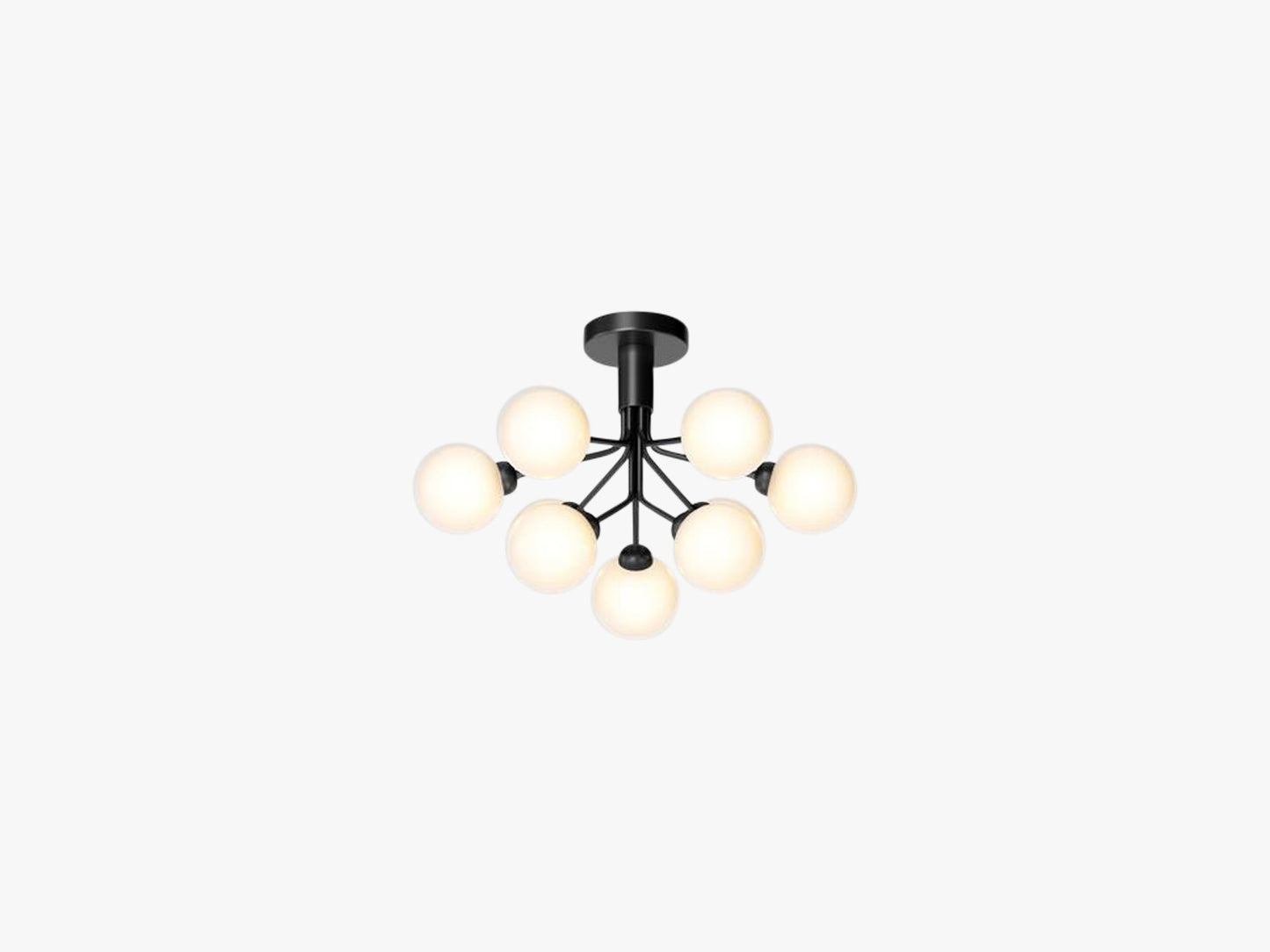 Apiales 9 Ceiling, Satin black/opal white