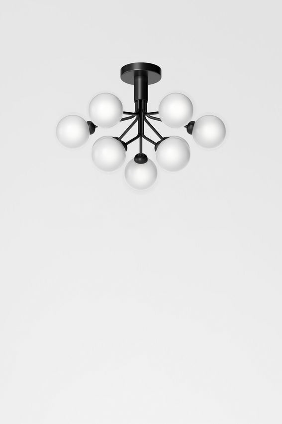 Apiales 9 Ceiling, Satin black/opal white