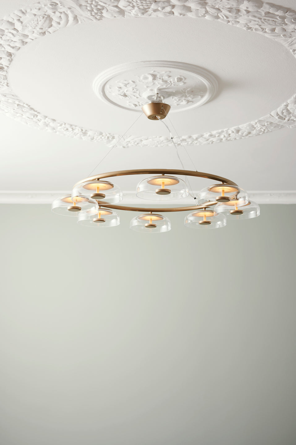 Blossi 8, Nordic gold/clear