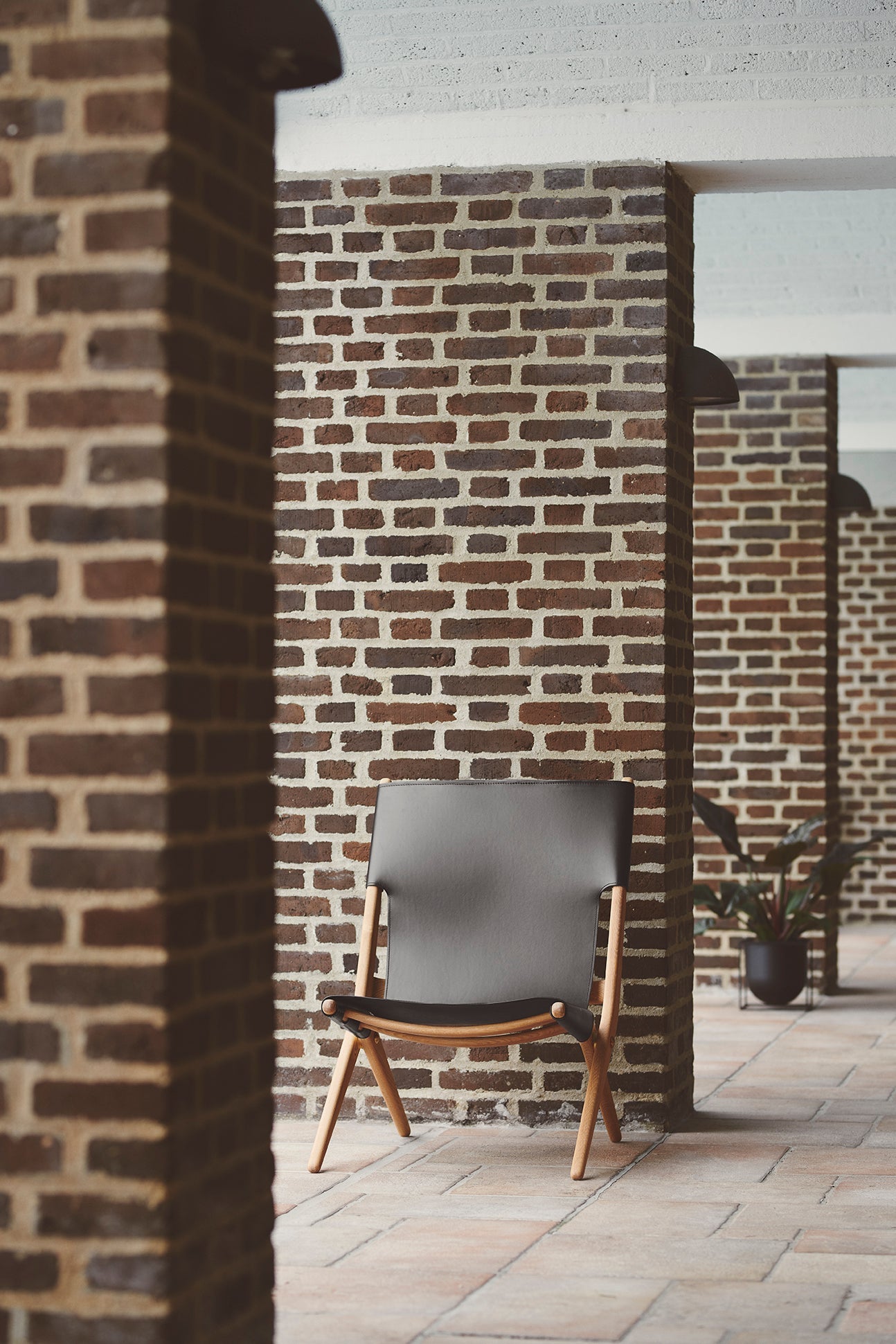Saxe Chair - Nature Oiled Oak