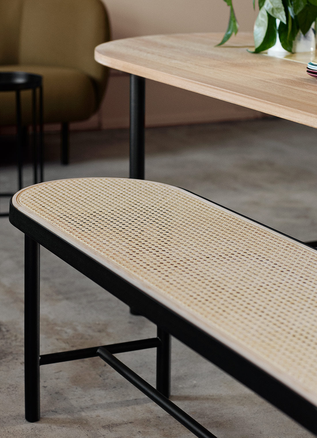 Be My Guest bench, Cane